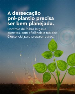 dessecação pré-plantio para controle de plantas daninhas resistentes antes do plantio