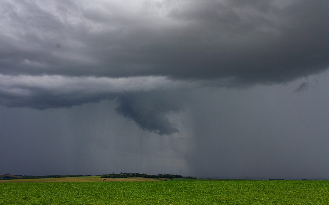 El Niño na safra 2026/27 causando impacto em lavoura de soja