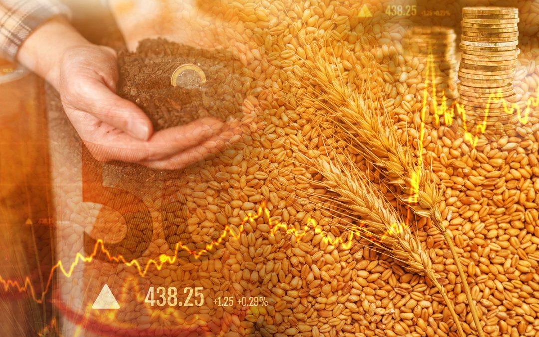 Oscilação do mercado de commodities agrícolas 2026 em gráfico de preços