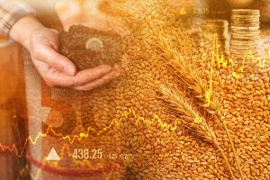 Oscilação do mercado de commodities agrícolas 2026 em gráfico de preços