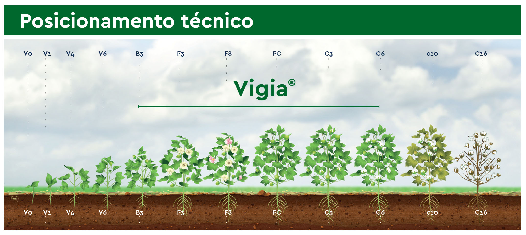 20260818_Ourofino_Agro_Fungicida_Seguris_Produtividade Ourofino Agro - Fungicida Seguris soja Algodão